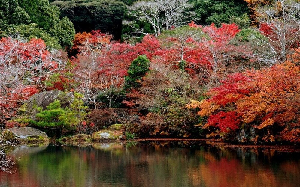 🌿 옛 치쿠린인 정원(규치쿠린인테이엔) 이미지 6